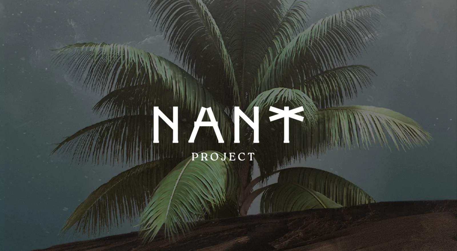 Case NANT Project